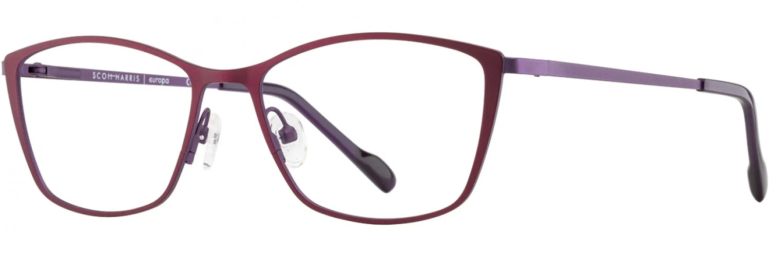 Scott Harris SH908 Eyeglasses - view 12